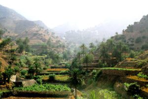 Las mejores ortopedias de La Gomera