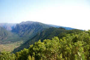 Las mejores ortopedias de La Palma